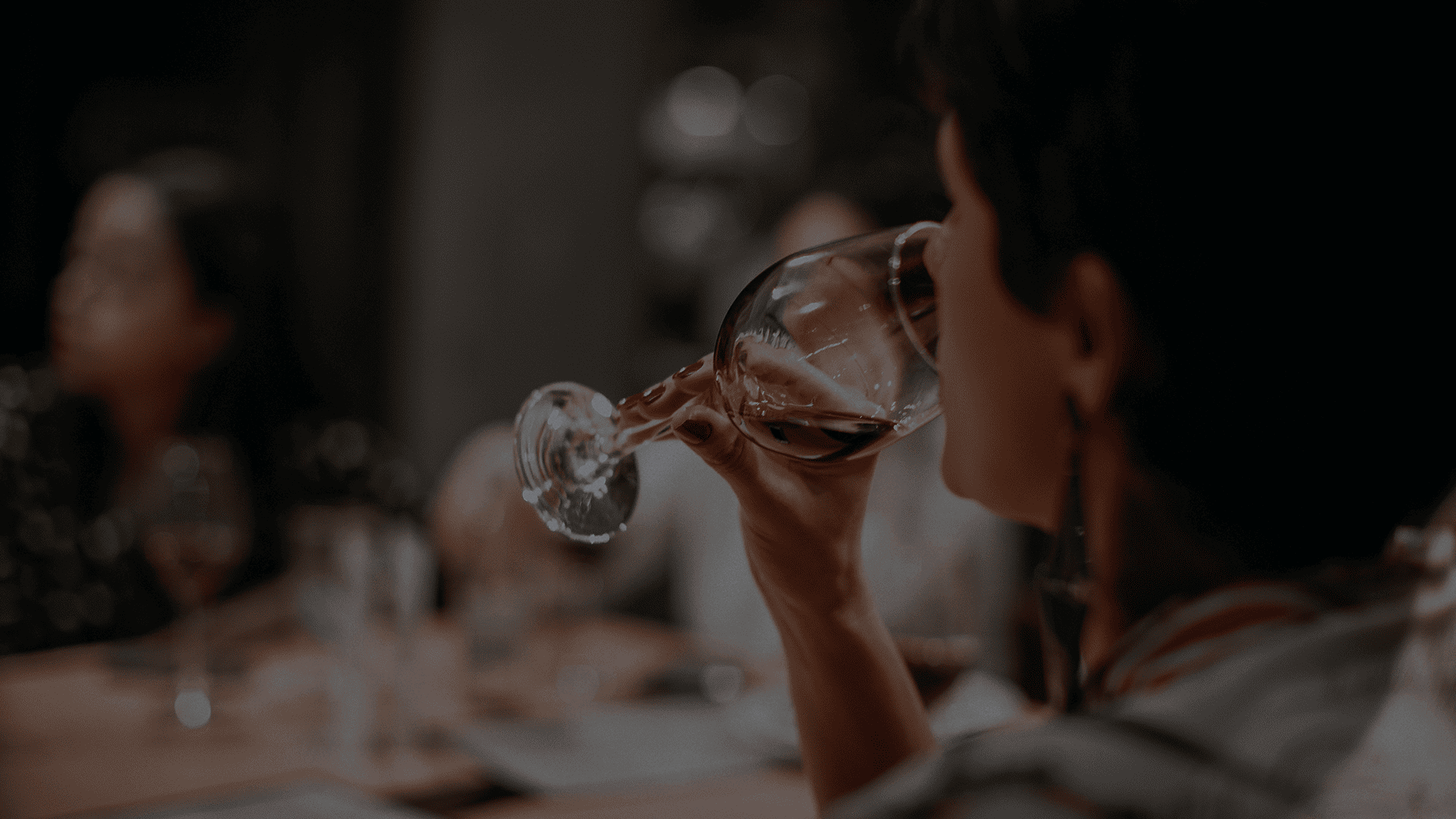 INTRODUCCIÓN
 AL VINO